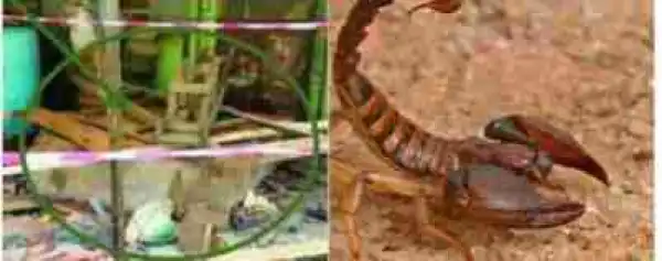 Woman Falls Into A Well And Dies While Running From A Scorpion In Lagos